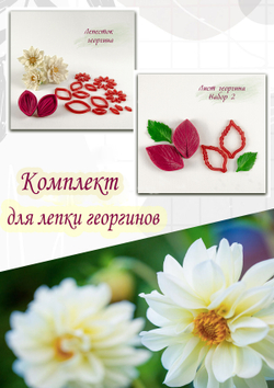 Комплект для лепки георгинов