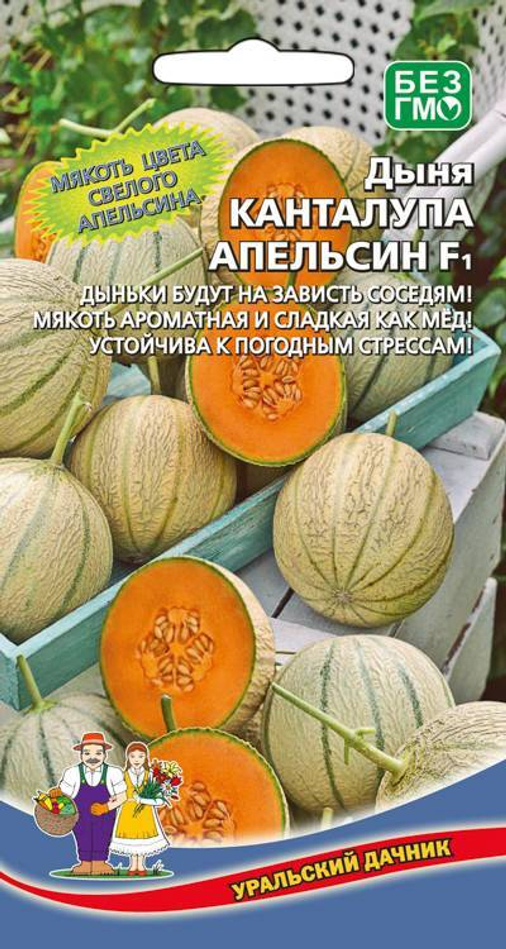 дыня Канталупа Апельсин F1