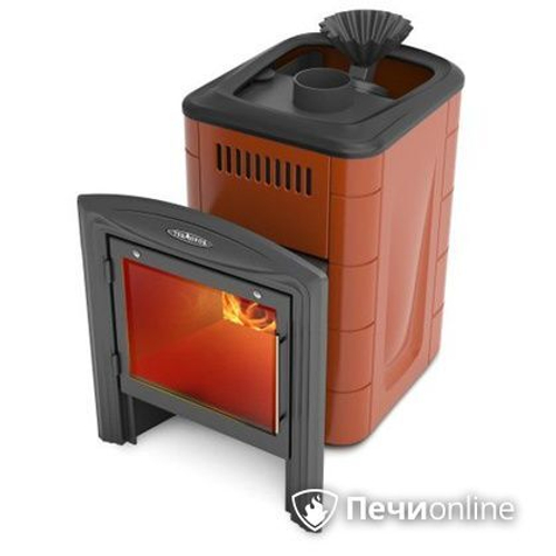 Печь для бани TMF Гейзер Мини 2016 Carbon Витра закрытая каменка терракота