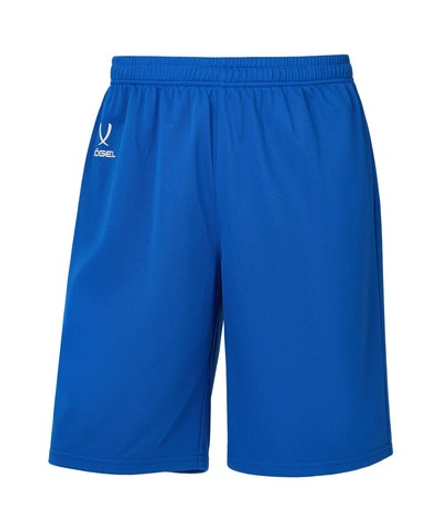 Шорты баскетбольные DIVISION PerFormDRY RBF 2S Shorts, синий