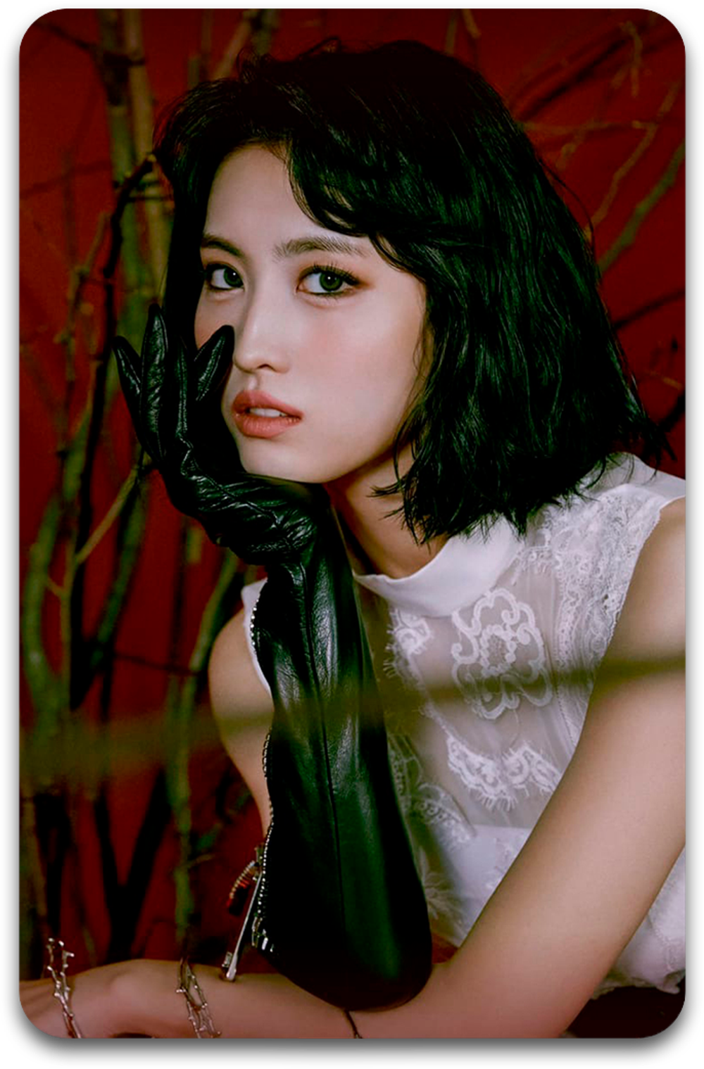 Карта #4326 / Momo (TWICE)