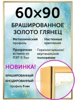 Металлическая рамка 60х90 см