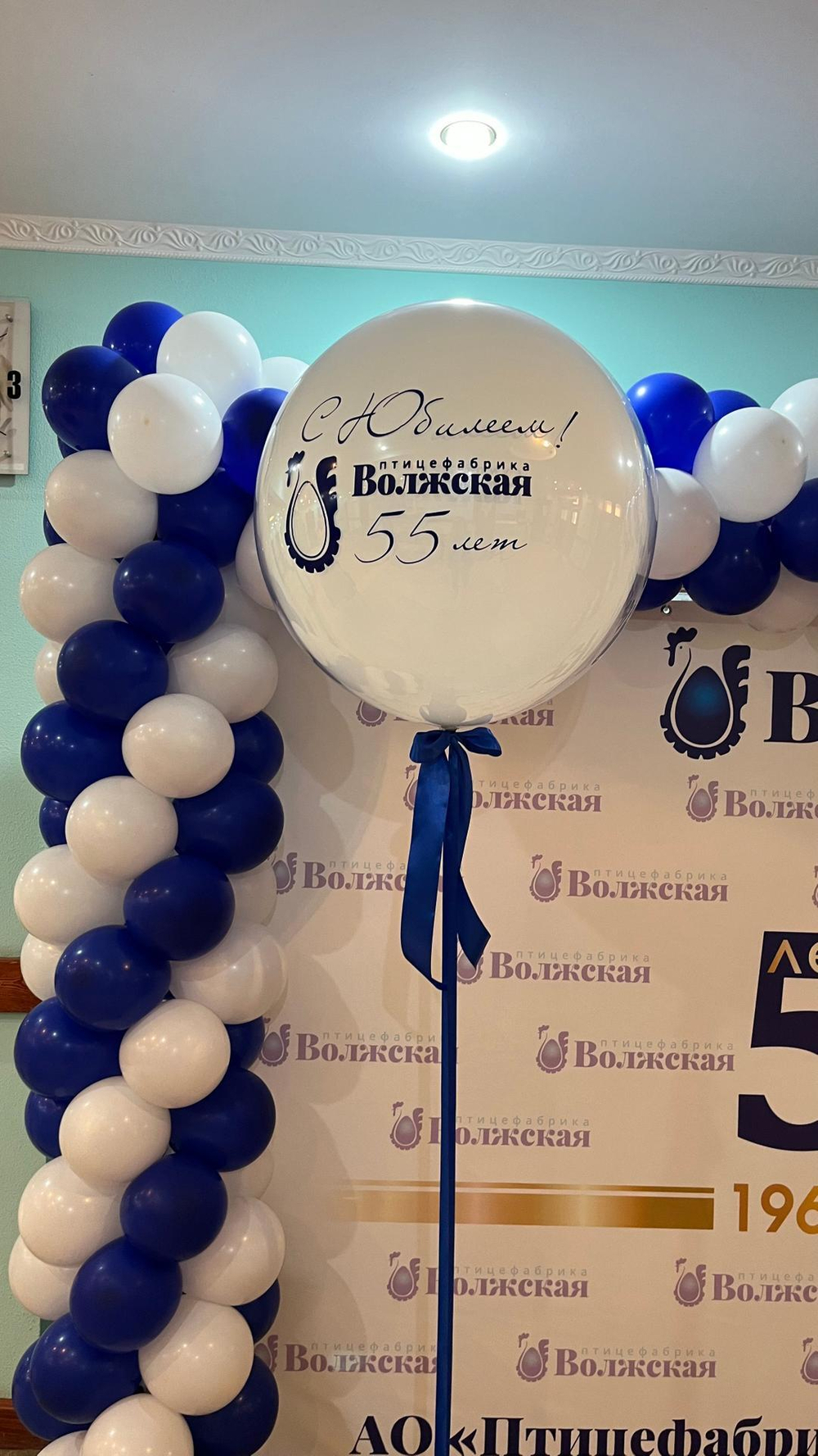 Большой брендированный шар дабл бабл
