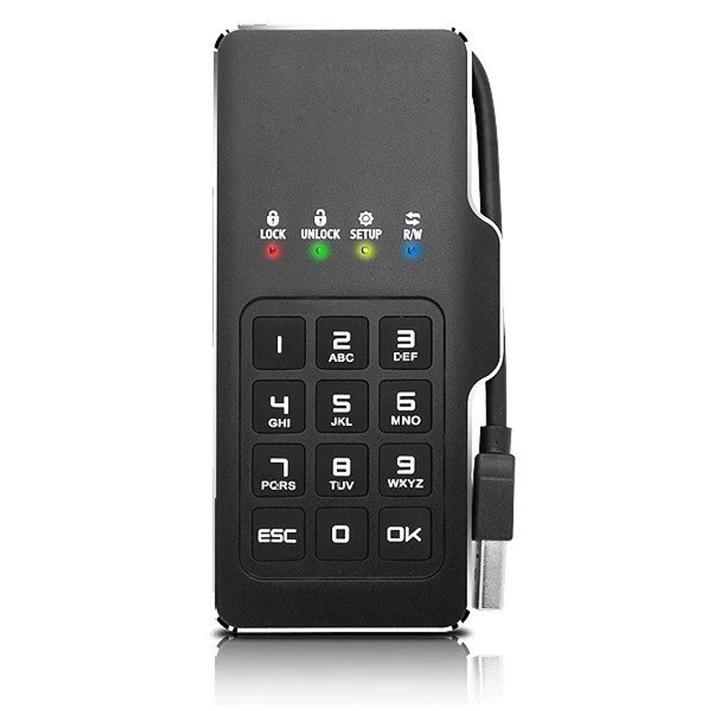 Мини диск DATALOCK PRO М2