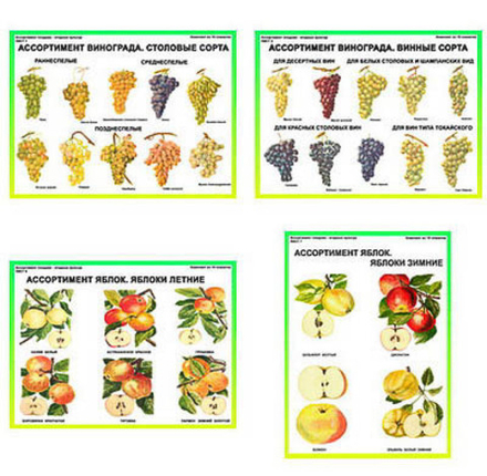 Плакаты ПРОФТЕХ "Ассортимент плодово-ягодных культур" (19 пл, винил, 70х100)