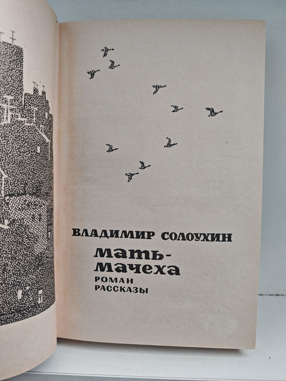 Мать-мачеха. Рассказы