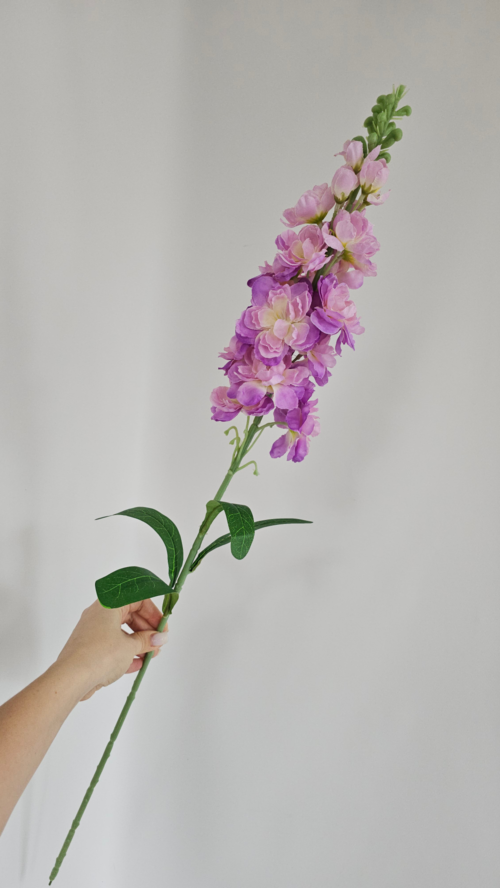 Дельфиниум / Арт 2355