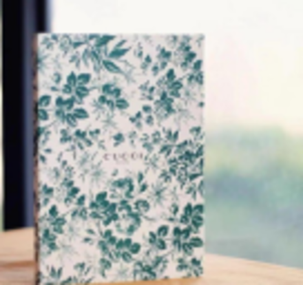 Блокнот "Gucci" в зел., рис., (11)14