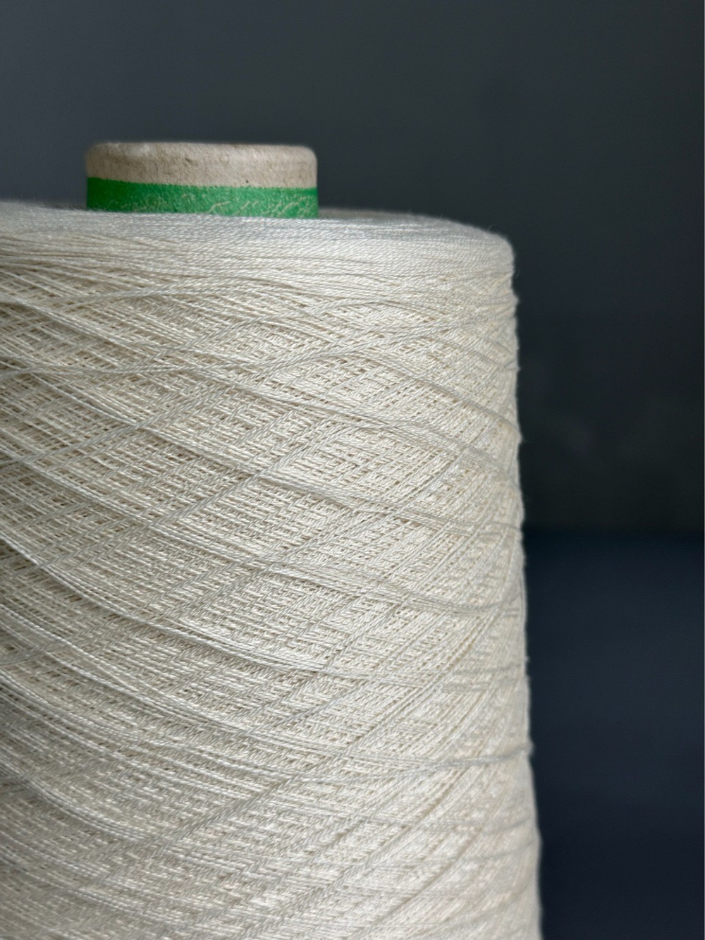 Пряжа Servizi e Seta COTSILK 2/48 (55% шелк 45% хлопок) 2400 м/100 гр, айвори