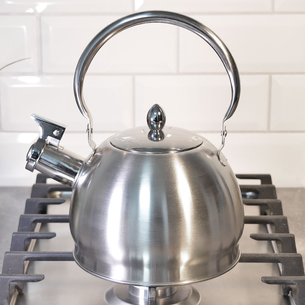 Чайник 2л нерж со свистком, матовый, ручка металлическая, индукция, "Daniks" GS-04314-2.0L/SMY-088