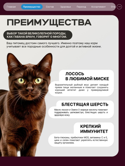 Корм сухой для взрослых кошек породы Гавана Браун, с лососем, 5 кг, QUATTRO