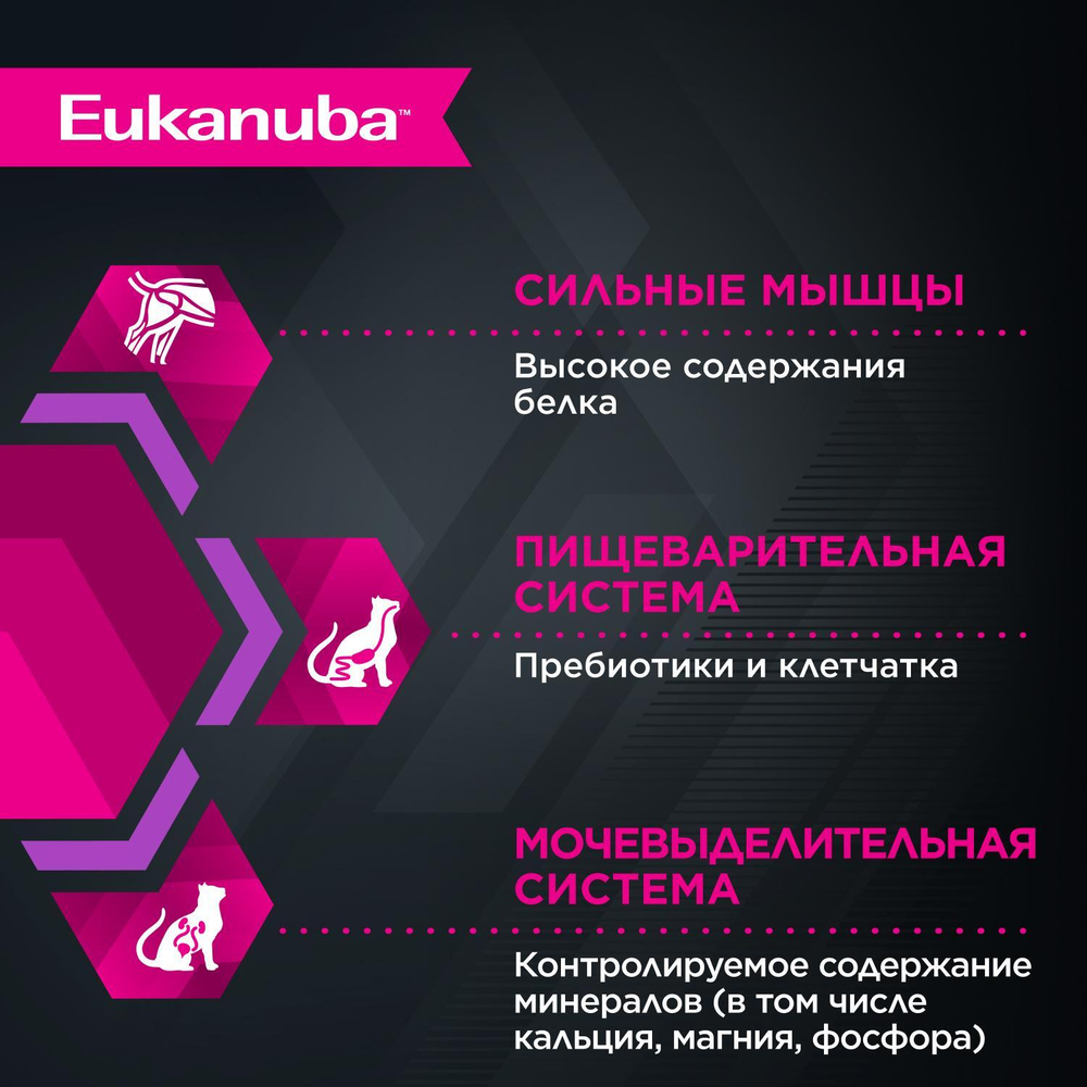 Eukanuba Kitten Healthy Start влажный рацион для котят 85 г