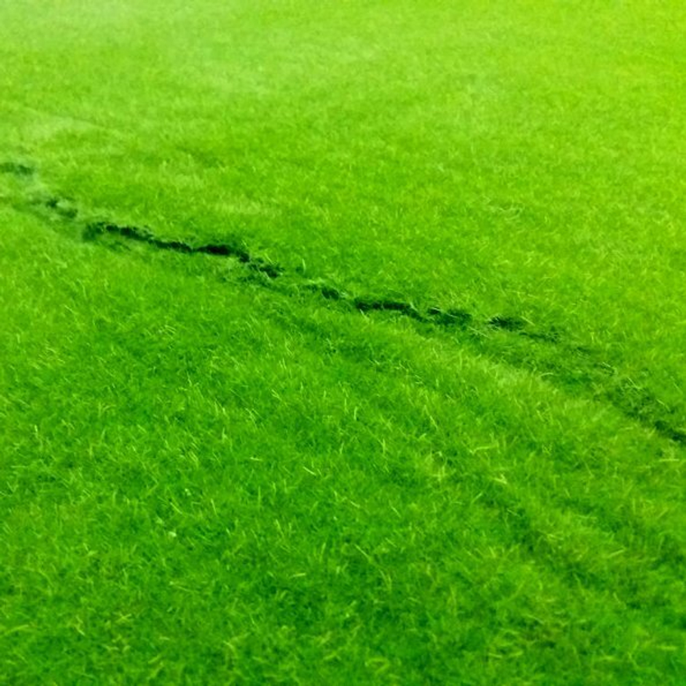 Мох искусственный "Ковровый" дизайн 1, ширина 1,5м, рулон 10м