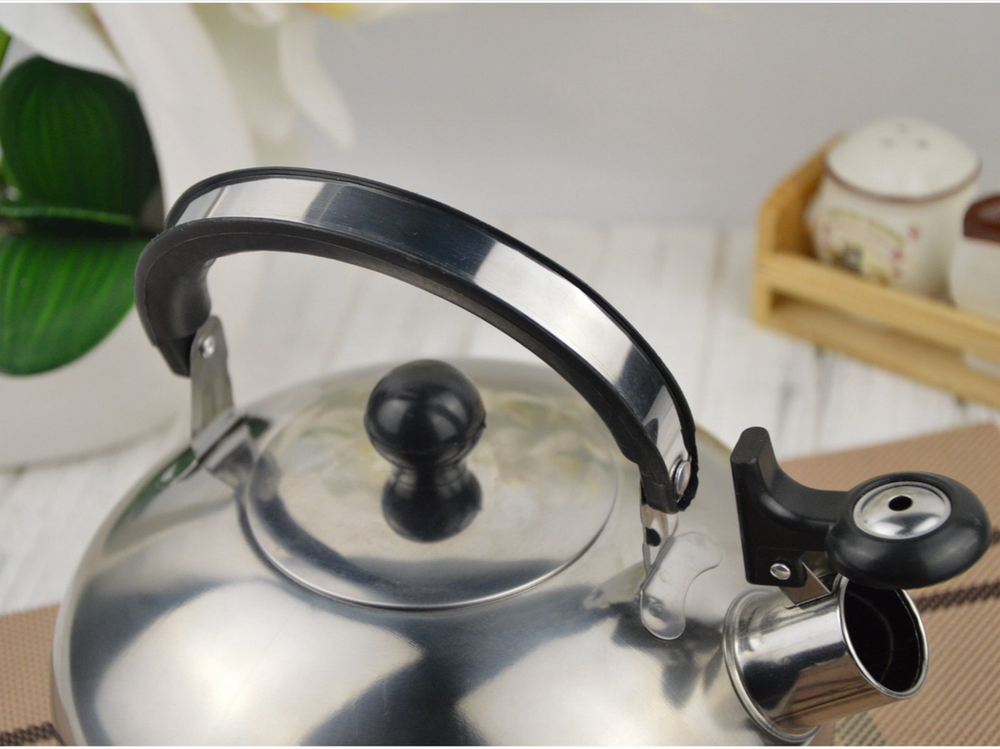 Чайник со свистком Mallony Casual (2,5л)