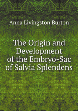 The Origin and Development of the Embryo-Sac of Salvia Splendens | Anna Livingston Burton
