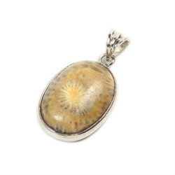 Кулон "Астры" коралл Петоски асс.