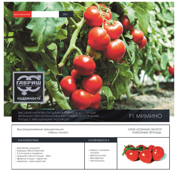 Мимино F1 семена томата индетерминантного (Гавриш) – фото 6