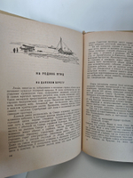 От весны до весны