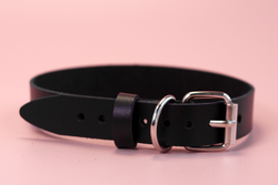 Лунный свет Ошейник с надписью FUCK TOY (черный)