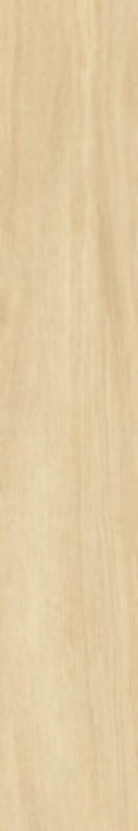 Керамогранит Wood Casa Beige MATE