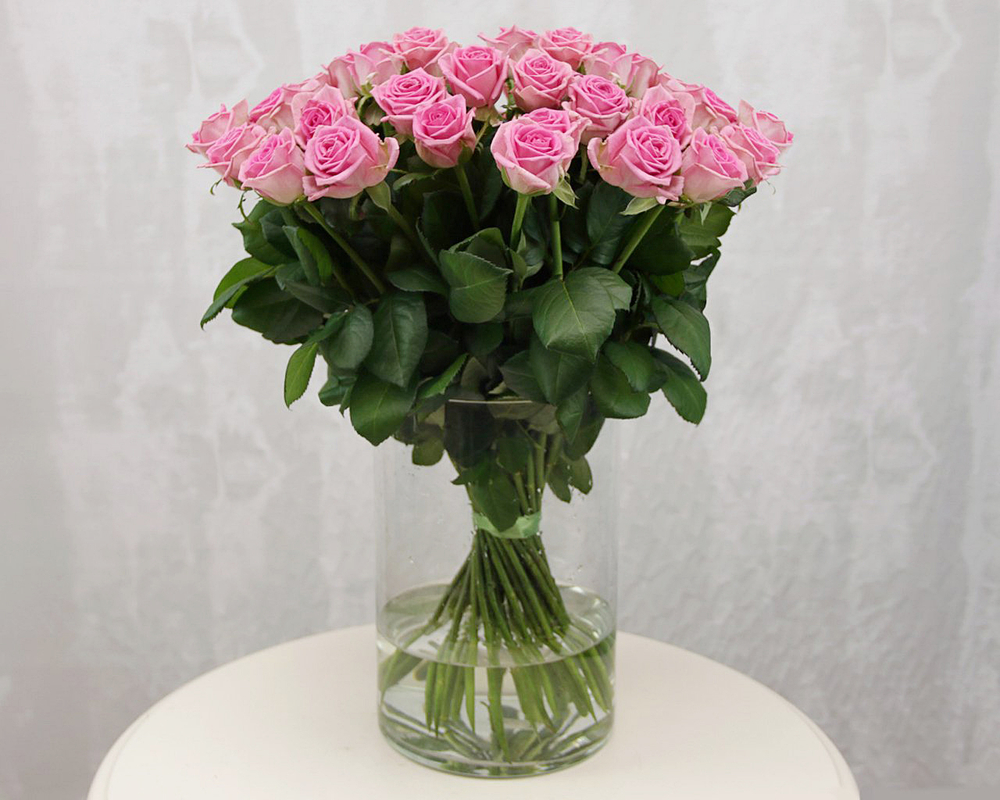 Розовые розы "Revival"