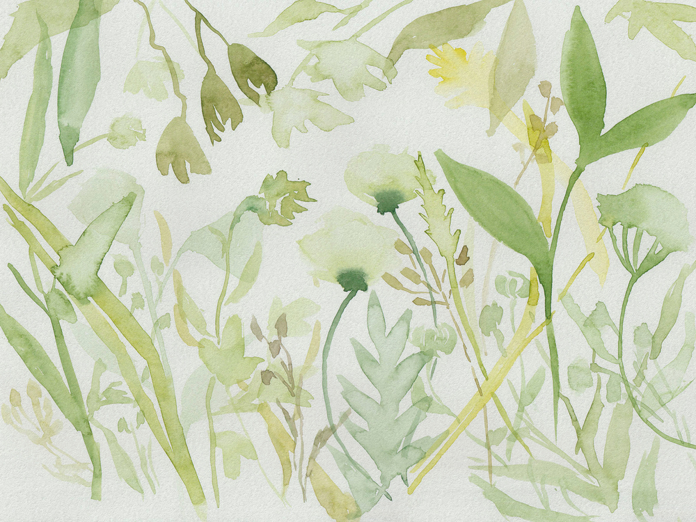 Коллекция WATERCOLOR21