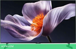 MiniLED телевизор Xiaomi TV S Pro Mini LED 55" 2026 L55MB-SRU (международная версия)