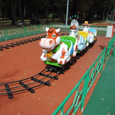 Детская железная дорога «ДЕРЕВЕНЬКА» для парка