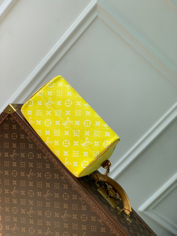 Louis Vuitton Speedy P9 Bandouliere 25