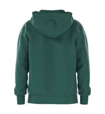 Мужская теннисная кофта Björn Borg Essential 1 Zip - posy green