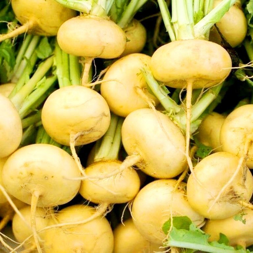 Репа Деревенская Отборная