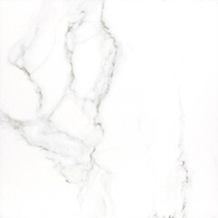 Carrara Premium white PG 01 600х600 (1-й сорт)