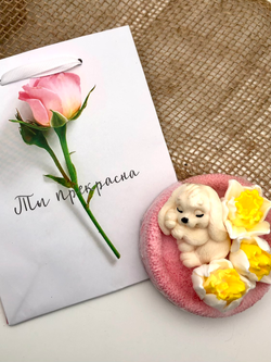 Комплект «Зайчик весенний, роуз в пакете Ты прекрасна»