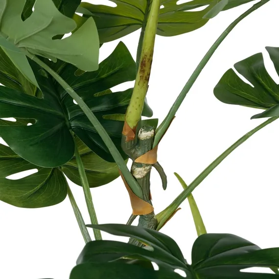 Монстера высота 155 см