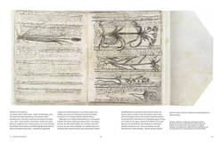 Botanical Sketchbooks