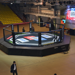 Восьмиугольник турнирный на помосте