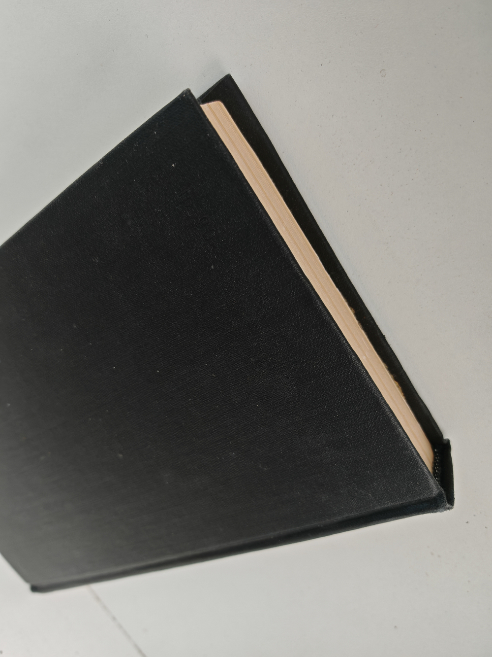 Дорога ветров: Гобийские заметки