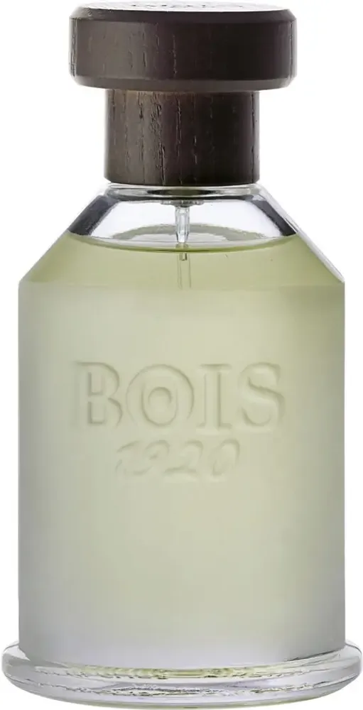 BOIS 1920 CLASSIC 1920 EDP 100 ML