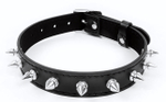 Черный ошейник с серебристыми шипами (Цвет: черный с серебристым)