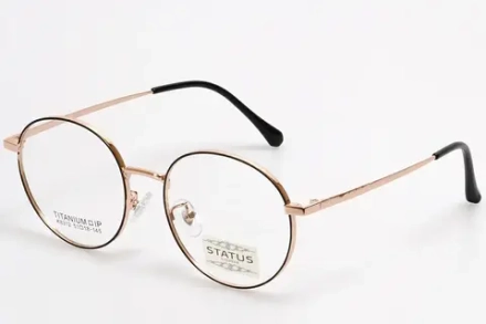 Очки для зрения с оправой Status 8312 c5 titan