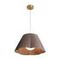 Подвесной светильник Freya FR2056PL-01BR