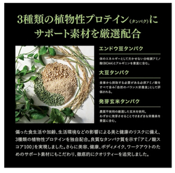 Протеиновый коктейль с тремя видами растительных белков Esthe Pro Labo Protein Natura Gran Pro , 20 шт