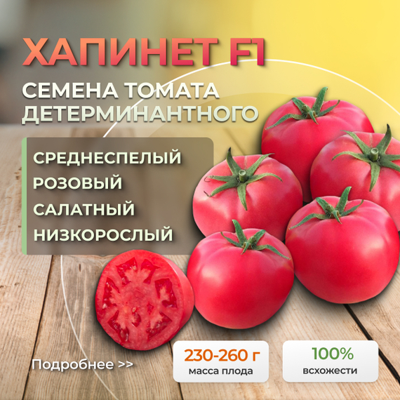 ХАПИНЕТ F1 семена томата Syngenta культура – фото 1