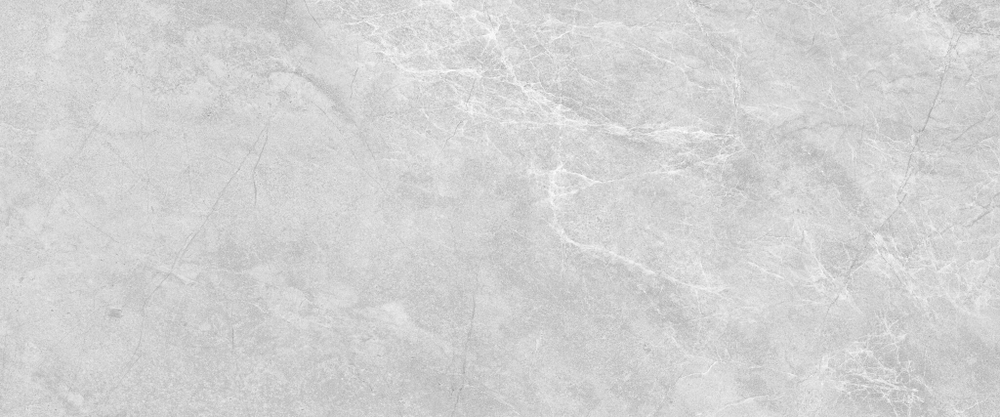 Cameo grey wall 01 250х600 (1-й сорт)
