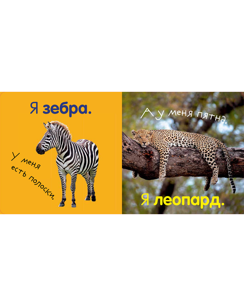 Первая фотокнига малыша. Животные