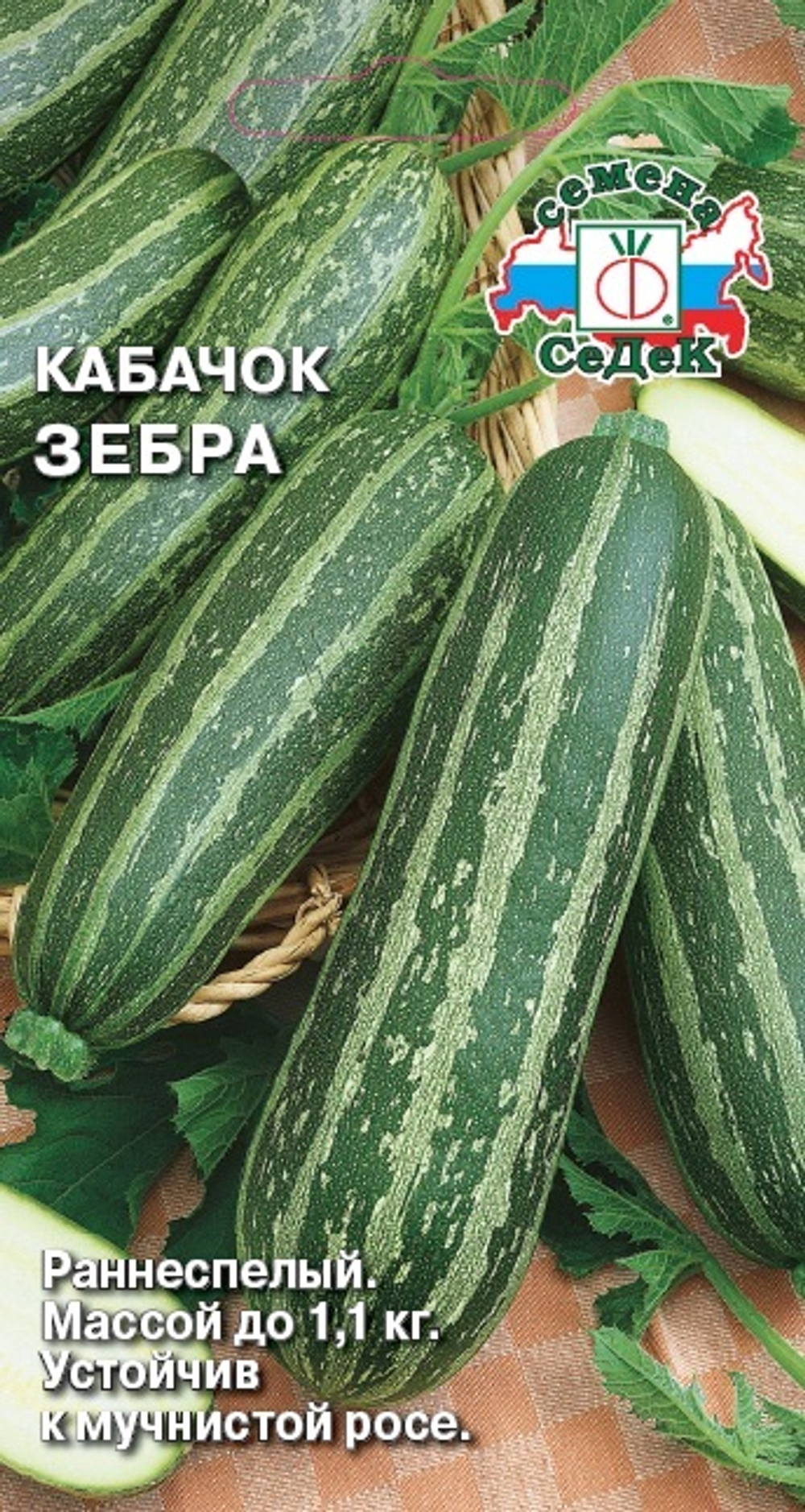 кабачок Зебра