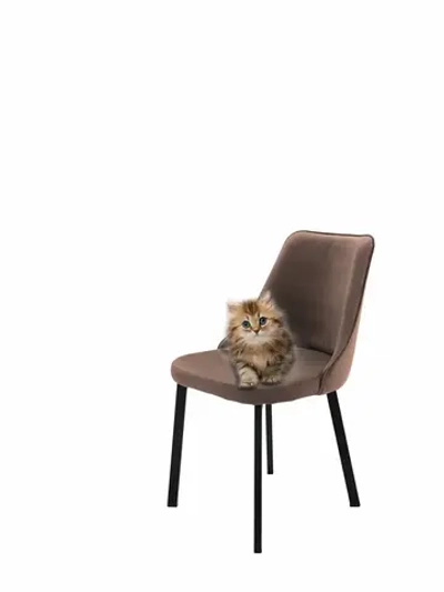 Стул "Флорес" 1 шт. Антивандальная ткань, Усиленные ножки