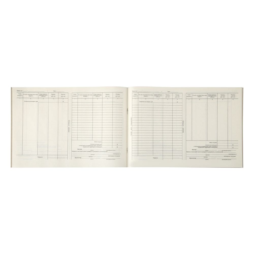Книга кассовая А4, 48л., обл. картон, горизонтальная, Спейс