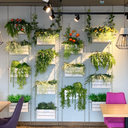 19.09. Озеленение кафе-пекарни "Ка Бриошь" г.Краснодар