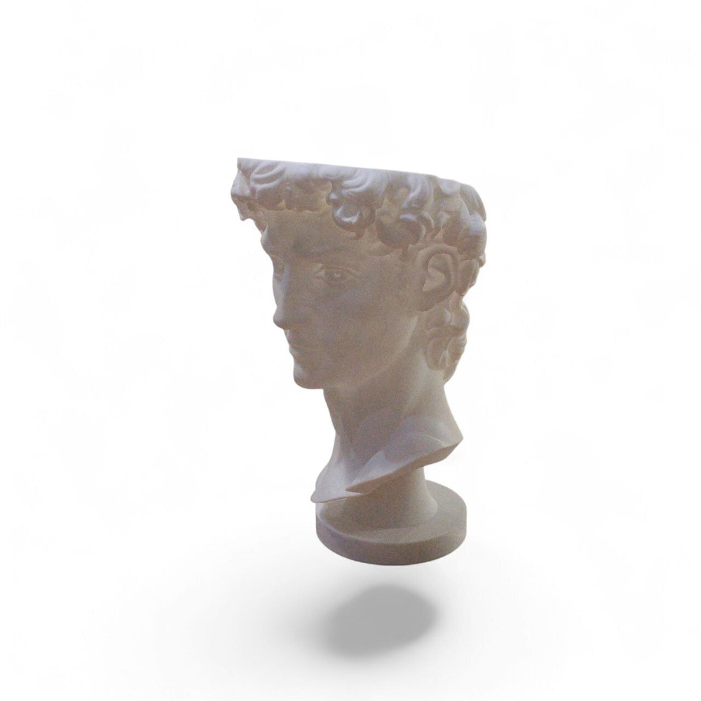 Декор "Голова Давида"